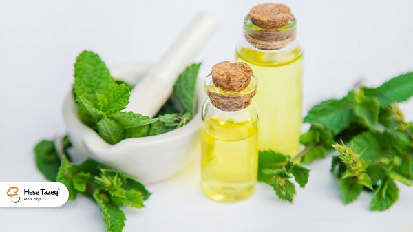 بادرنجبویه_چیست_حس_تازگی_1
